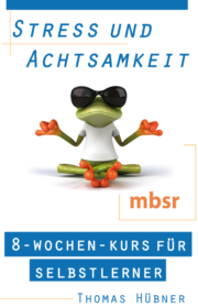 Buchcover: Ebook, Kurs, Stress und Achtsamkeit | mbsr