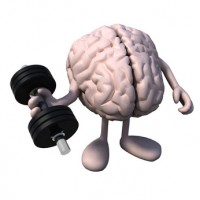 brain organ with arms and legs weight training