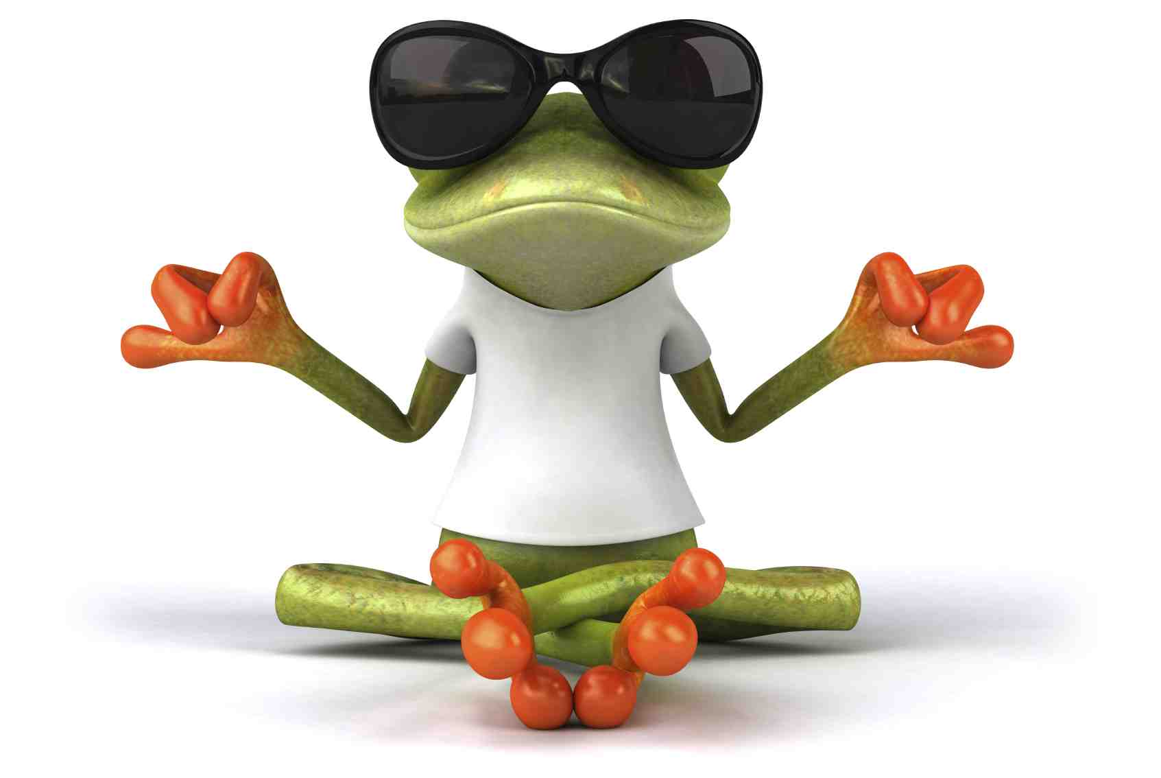 Bild: Meditierender Frosch. Zum Text: Meditieren ist einfach. Aber nicht banal!