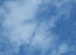 ACHTSAMES YOGA IM MBSR – SO GEHT´S Meditation, Achtsamkeit und frisch gepflückte Gedanken