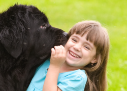 ACHTSAMKEIT: WERDEN WIE DIE KINDER! thumb-Kind-und-Hund